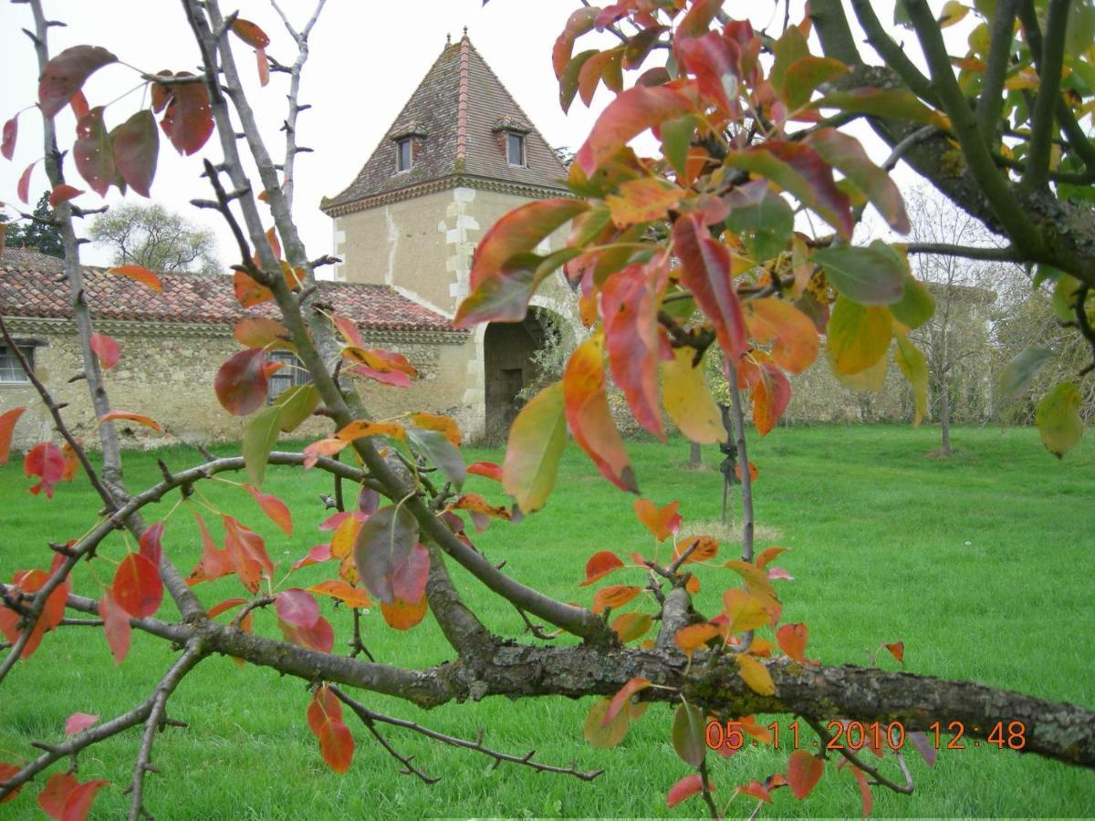 Domaine D'Entudelle Bed & Breakfast Lussan  Exterior photo